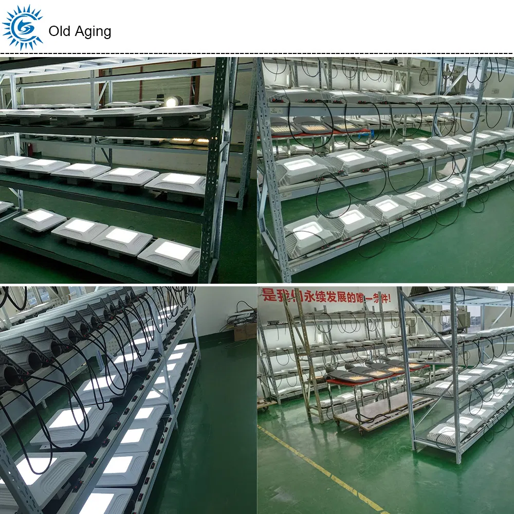 LED Canopy Light Details