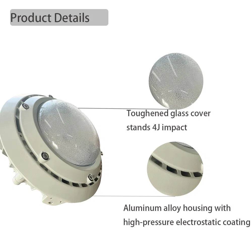 Product Detailed View