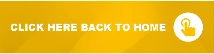 LED Elephant Dimensions