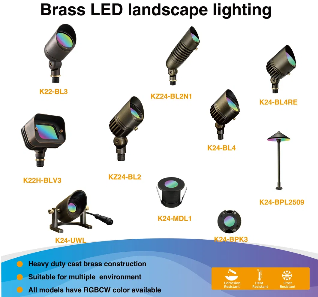 Related Lighting Products