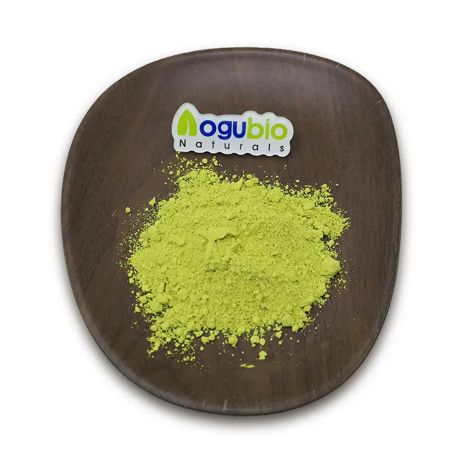 Buy Quercetin Potent Antioxidant & Anti-Aging Agent Manufacturer, Companies