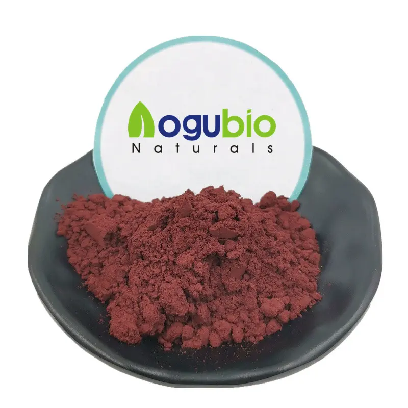 Wholesale CI 77491/Iron Oxide Red Manufacturer, Supplier