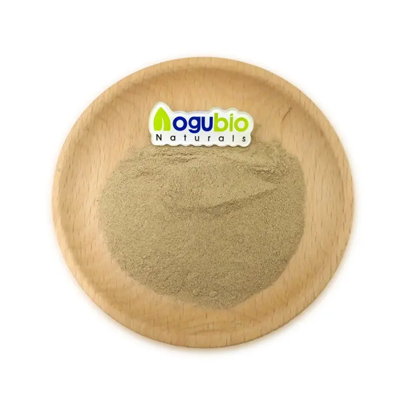 ODM Cosmetic Grade HE - Cellulose, Modified Factories, Exporters