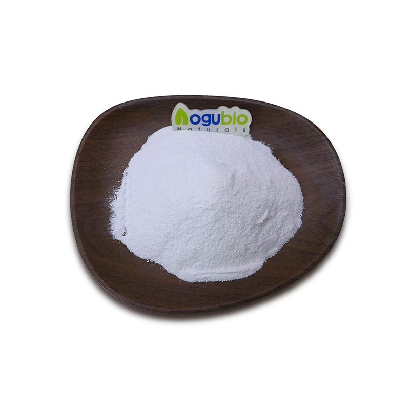 SLS powder