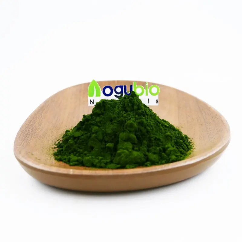 Wholesale Marine Algae Extract for Skin Delivering Hydration & Anti-Aging Benefits Manufacturer, Exporters