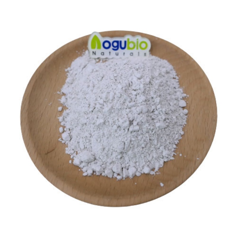 Silica Dimethyl Silylate