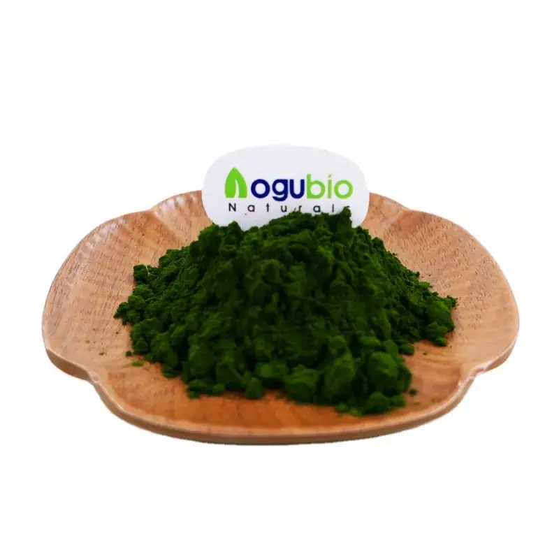 Wholesale Marine Algae Extract for Skin Delivering Hydration & Anti-Aging Benefits Manufacturer, Exporters