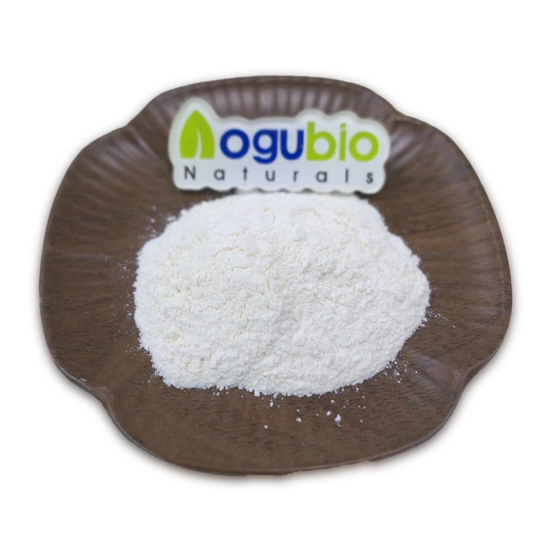 Hydroxypropyl Methylcellulose