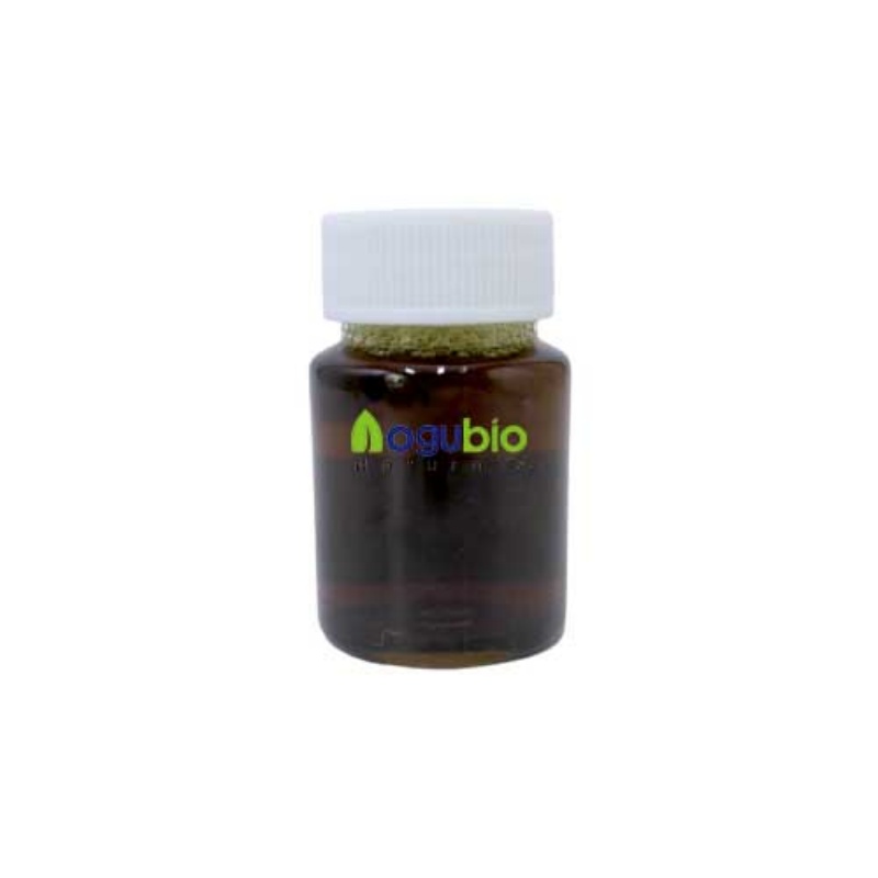 Elderberry Extract