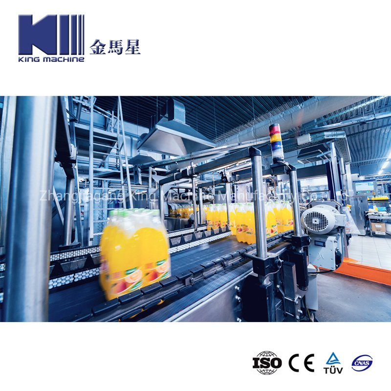 Complete Fruit Juice Processing Plant Pet Bottle Apple Beverage Juice Hot Filling Bottling Machine Automatic 3 in 1 Glass Bottle Orange Juice Production Line