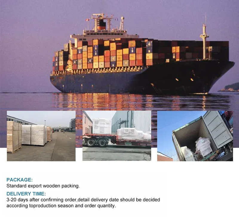 Packaging and Shipping