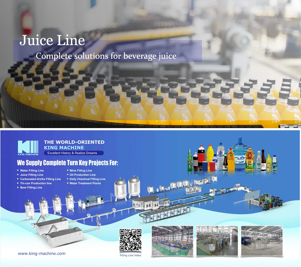 Complete Fruit Juice Processing Plant