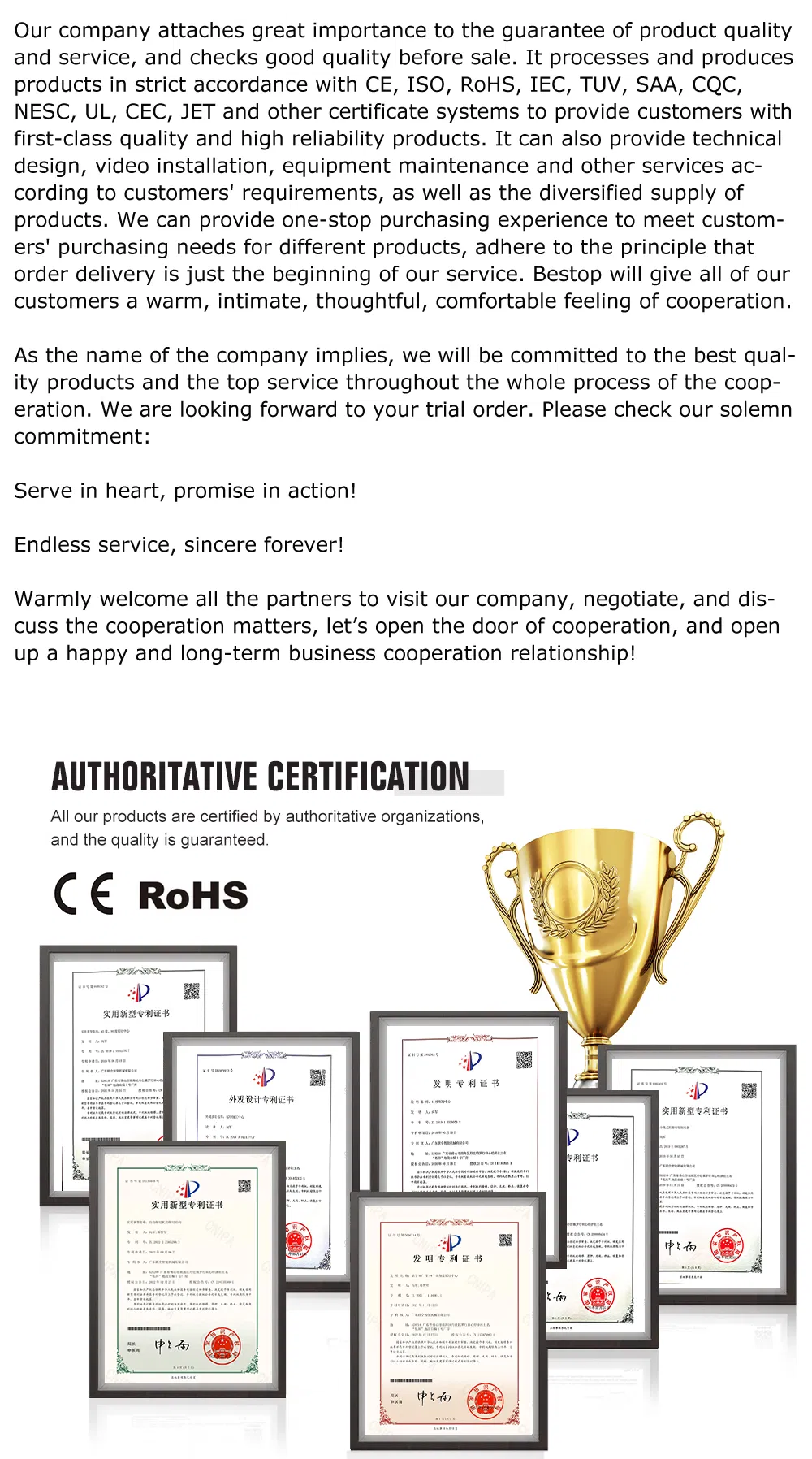 Manufacturing Process