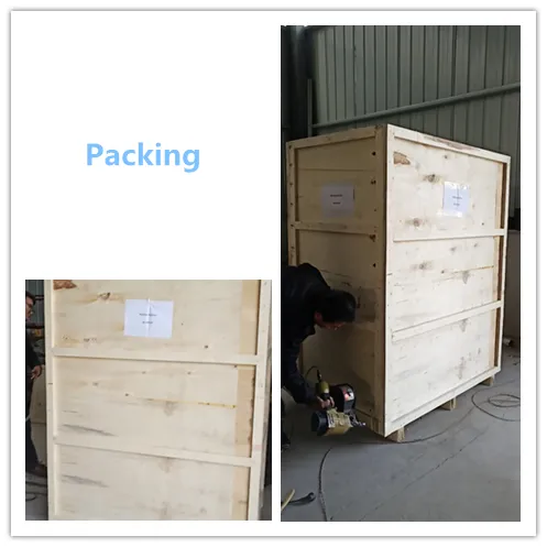 Shipping Packaging