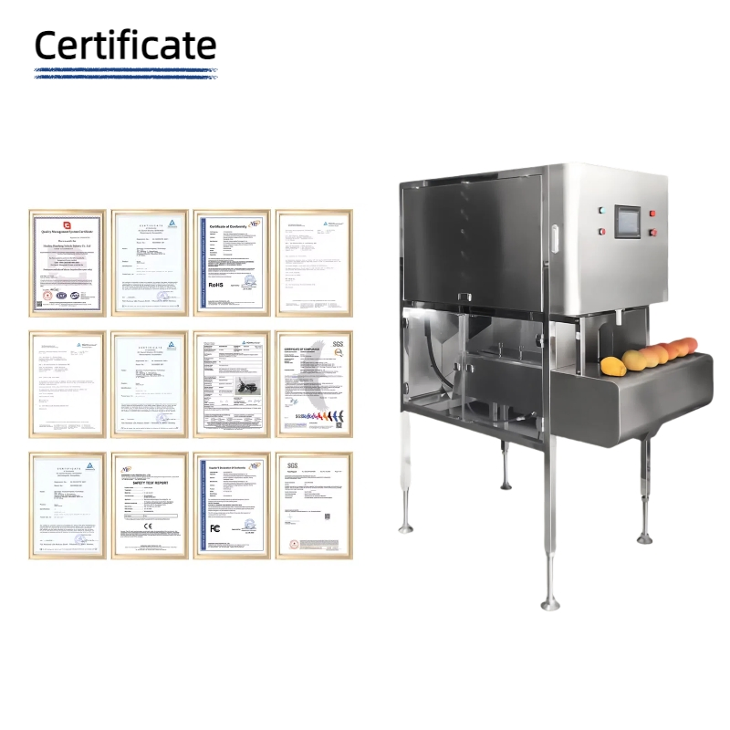 Compact Peeling and Cleaning Machine Fits Small Kitchen Corners