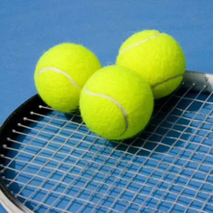 Factory-Sold Tennis Padel Paddle Ball Outdoor Sports Equipment