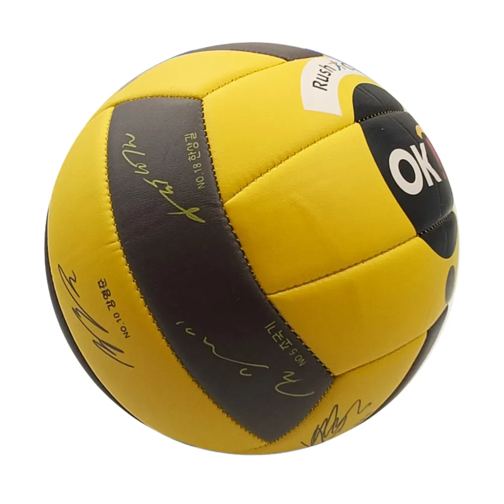 Soft Touch Volleyball Training Beach Game Pool Ci23643