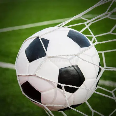 Football Stop Target Net