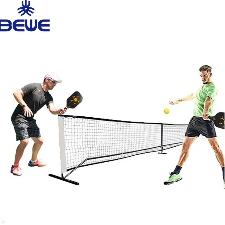 Pickleball Ball Net View 2