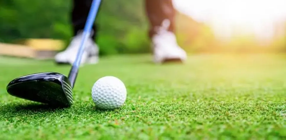 Golf Ball Layers Detail