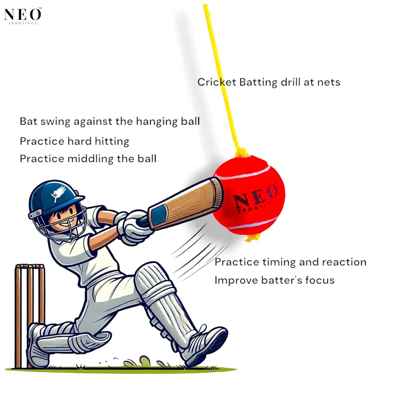 Mahaplay High Quality Red Indoor/Outdoor Cricket &amp; Baseball Training Ball with 3 Meter Nylon Rope for Practice Drills