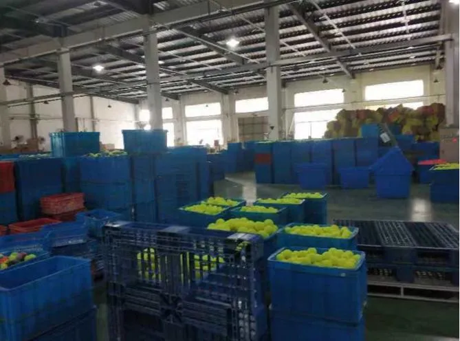 Tennis Ball Production 3