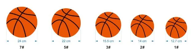 Basketball Dimensions Banner