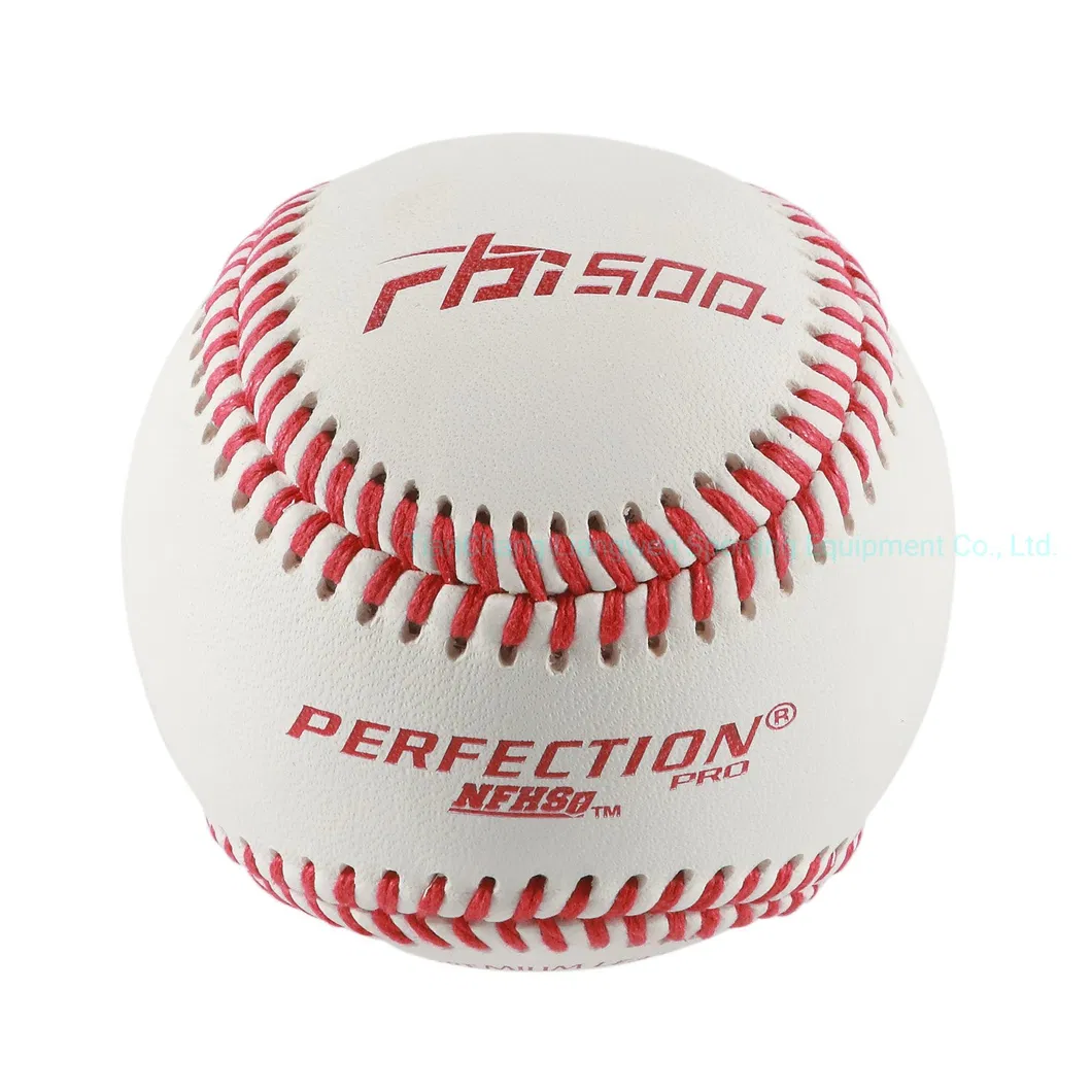Professional Baseball 6