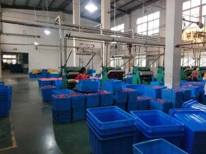 Tennis Ball Production 2