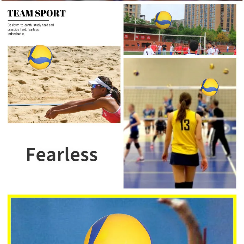 Volleyball Full View