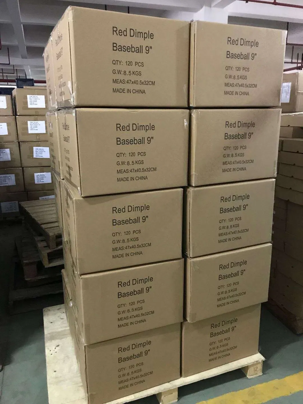 Cricket Training Equipment 3