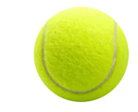 Beach Tennis Ball Detail