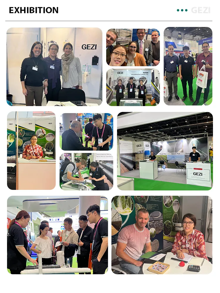 Backyard Practice Net