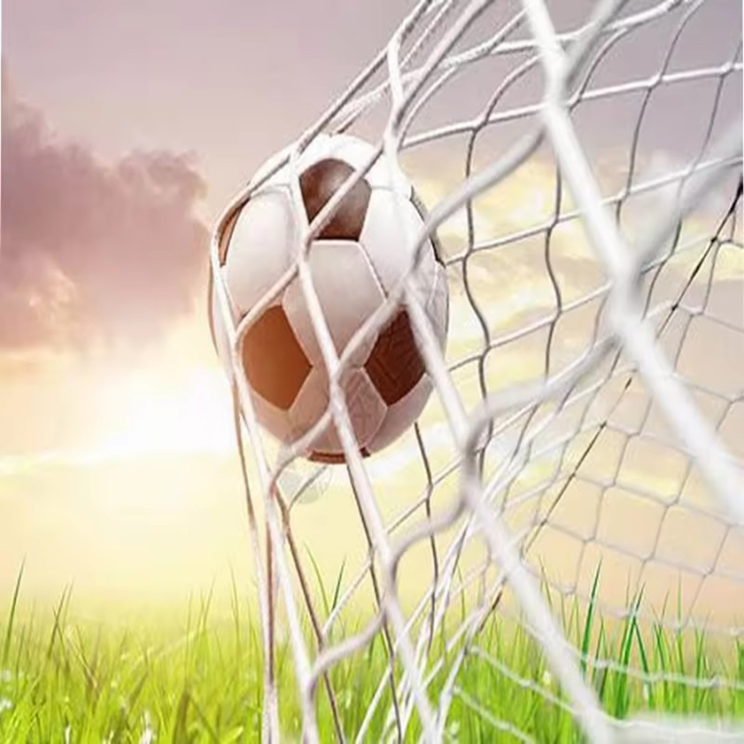 Net for Separate Courts Soccer Ball Stop Nettingpp PE Nylon Sport Football Soccer Ballfootball Goal Post Netting