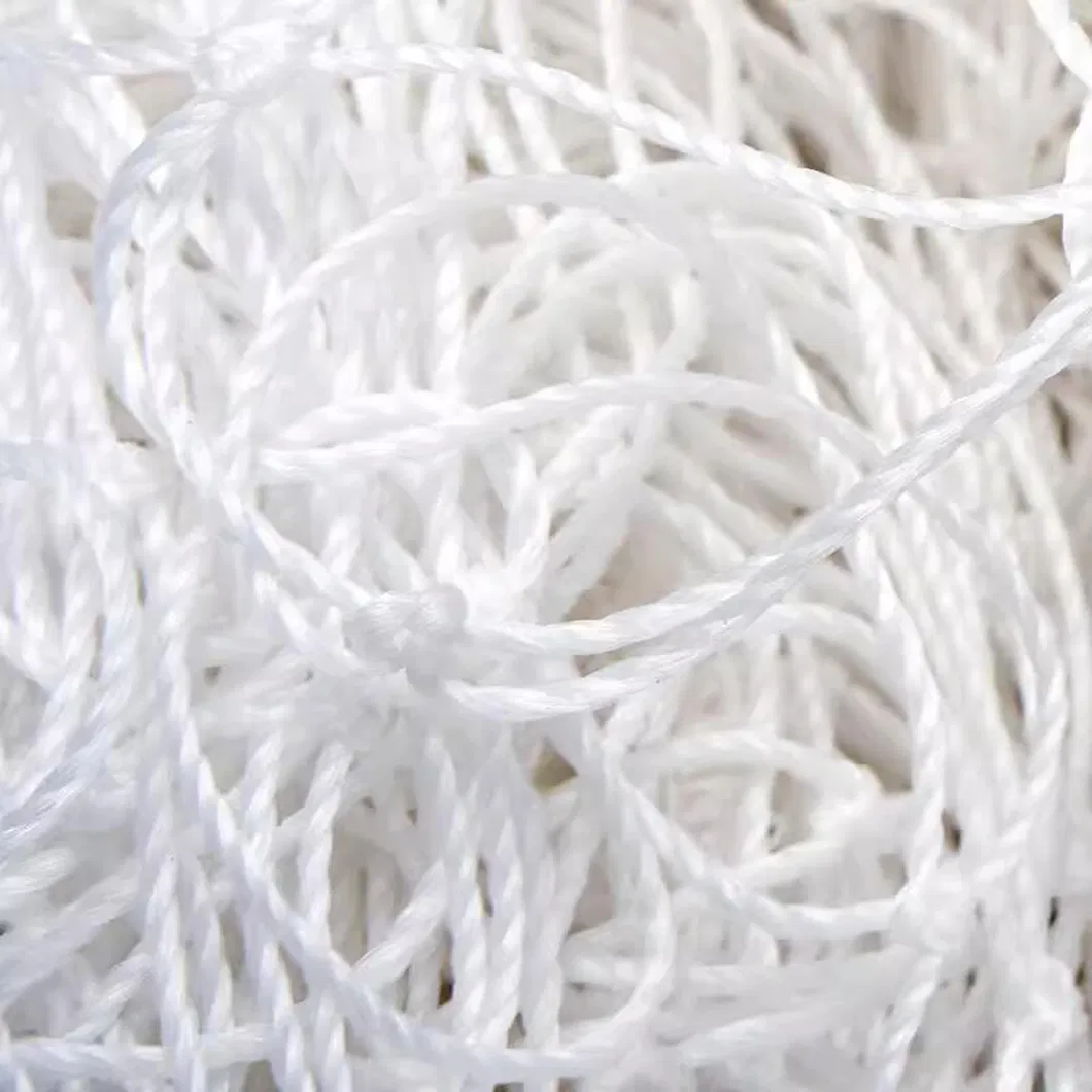 Football Net Detail 1