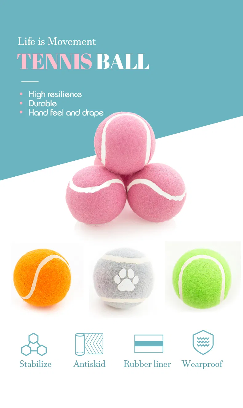 Textured Rubber Dog Ball 1