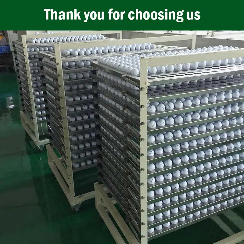 Hot Sale Factory Price Usga Conforming 2 Piece Custom Printing Logo Surlyn Golf Ball with Gift Box Package