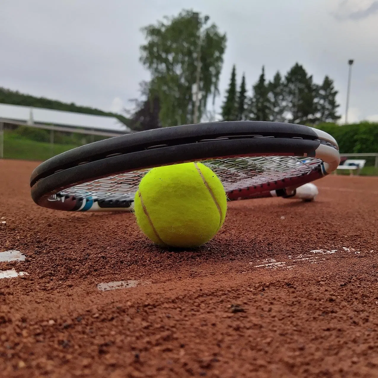 Small Order Tennis Ball Customization Wholesale