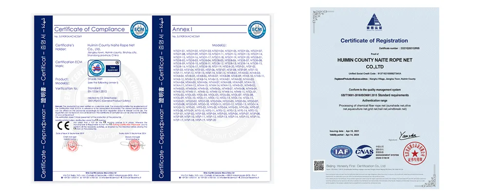 ISO CE SGS Certification