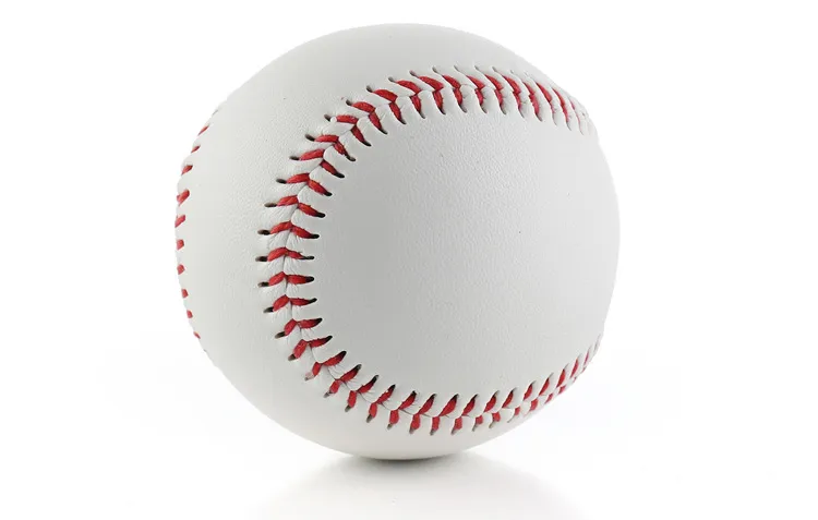 Professional Baseball View 3