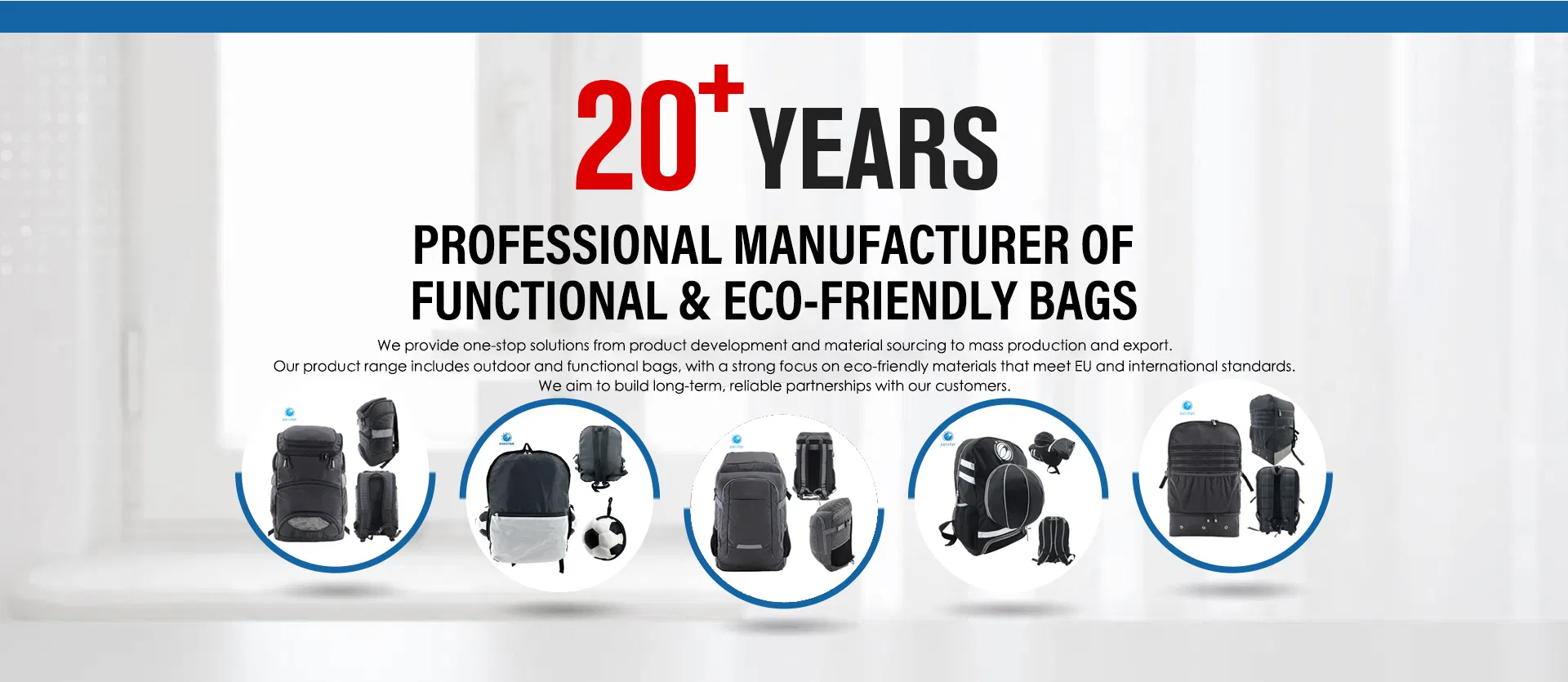 Sports Ball Bag Banner