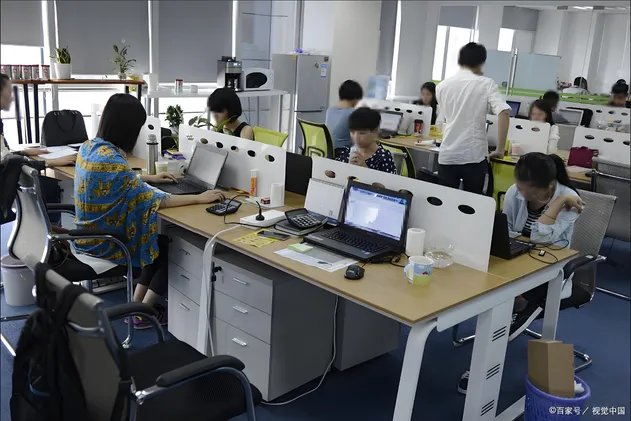 Injection Pump Detail 2