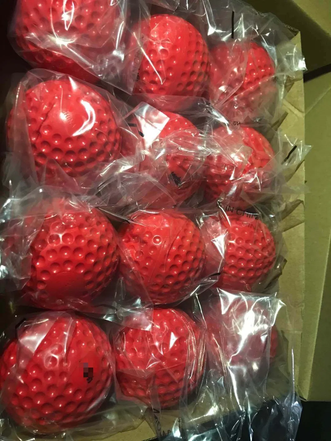 Cricket Training Equipment 1