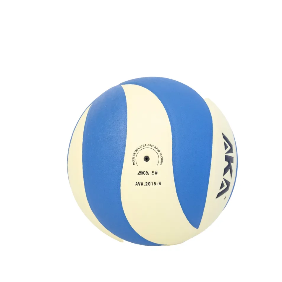 Training Volleyball Detail