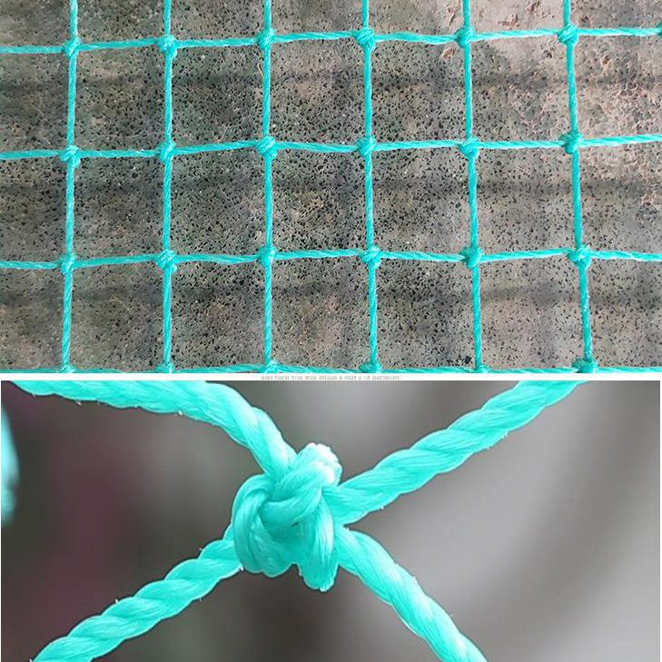 Customized Polyethylene Sports Net 40mm Square 60ply Multiple Sizes Barrier Net for Balls