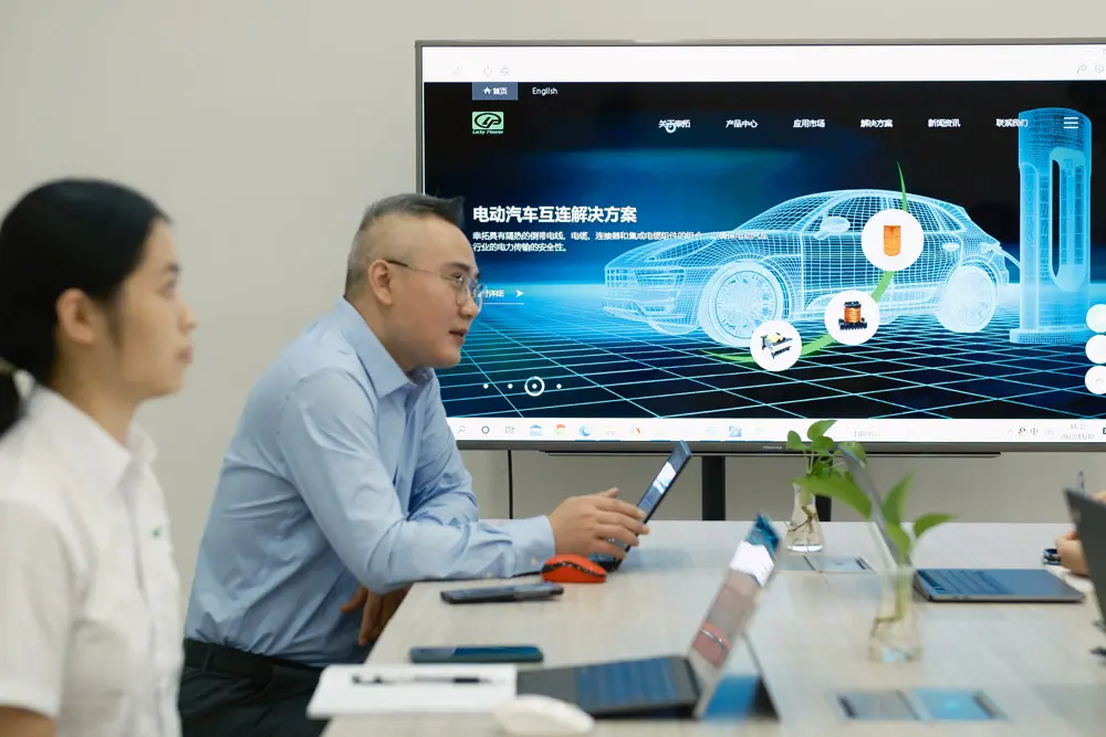 Lucky Pioneer Electronic Co., Ltd. interconnect engineering team and facility overview