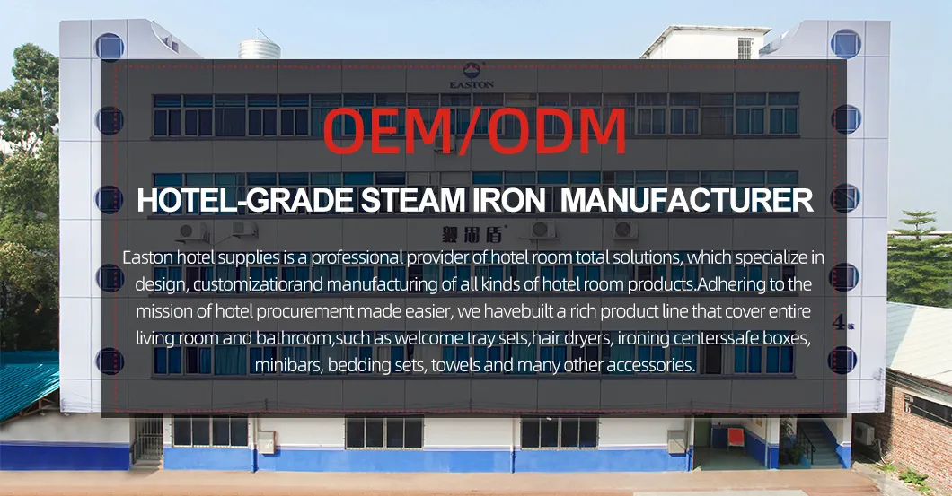 Hotel Steam Iron