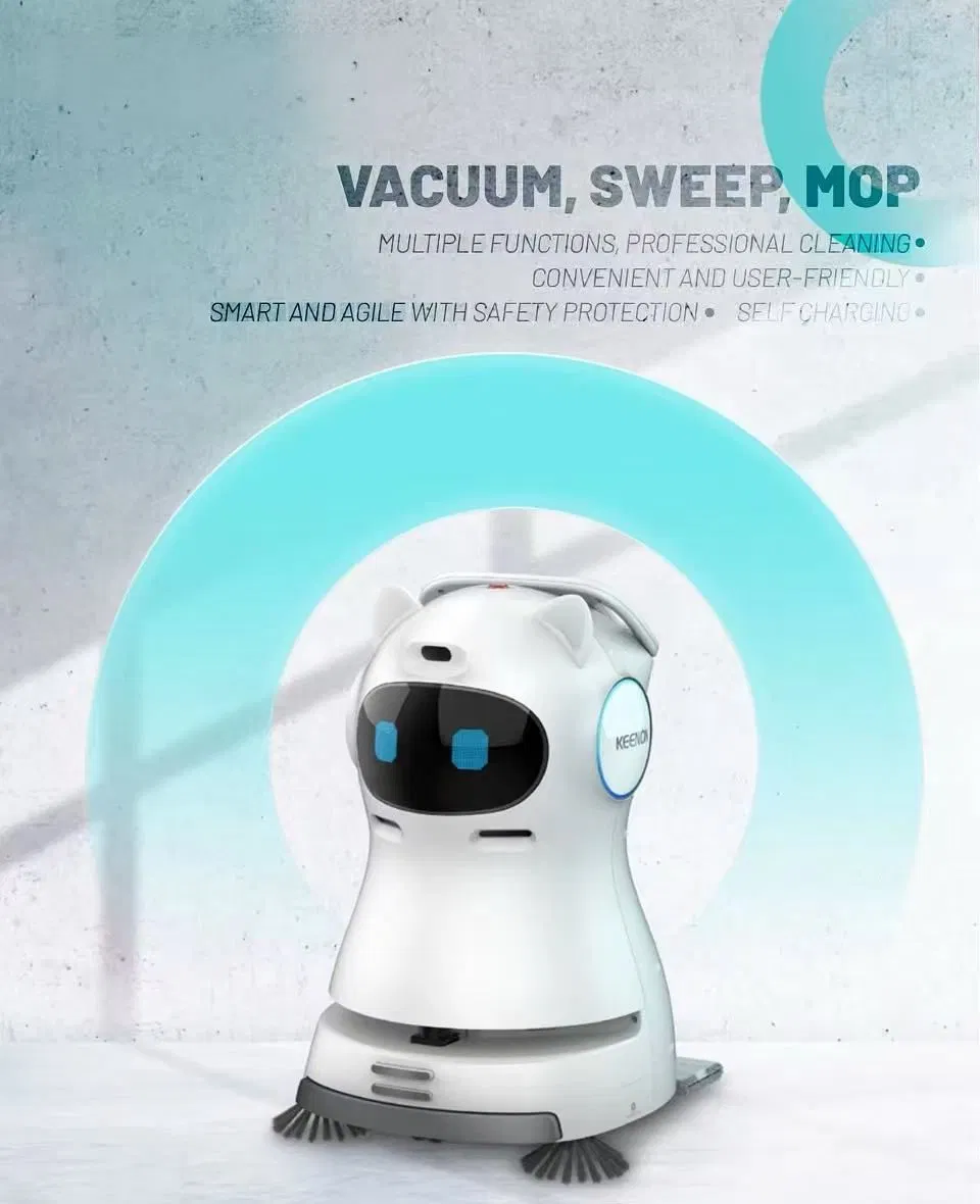 Cleaning Robot Detail