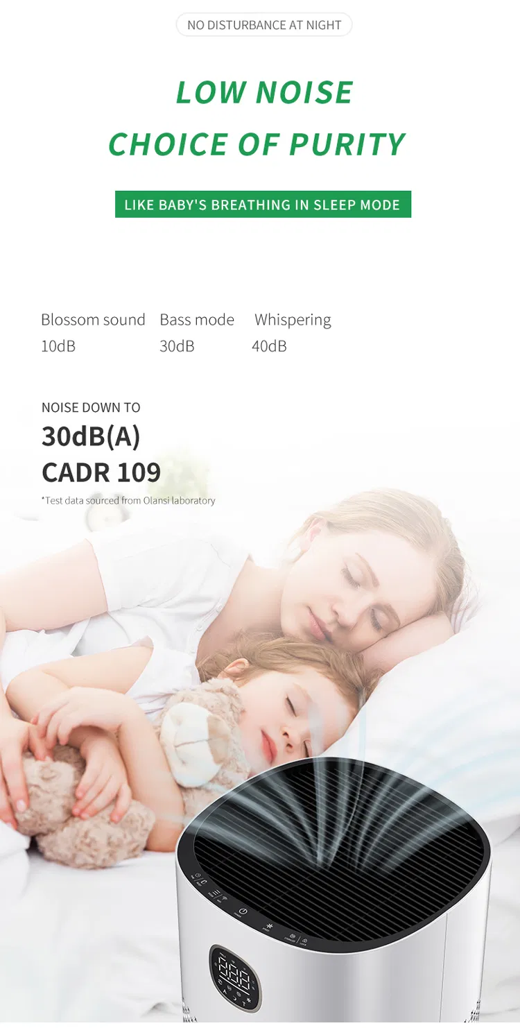 Air Purifier Features