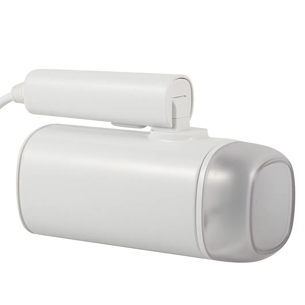 Handheld Steamer View 5